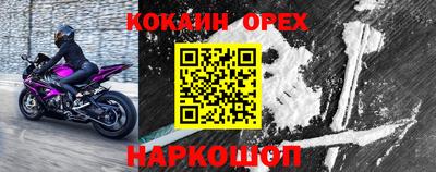 a pvp Славгород