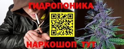 a pvp Славгород