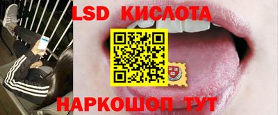 a pvp Славгород