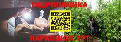 a pvp Славгород