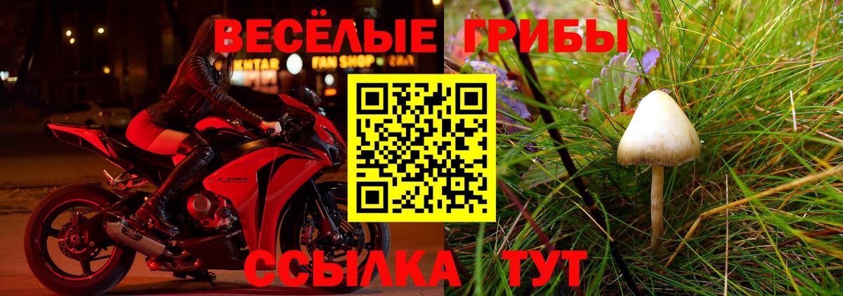 Галлюциногенные грибы ЛСД  Вход с VPN  дарнет шоп  Мурманск  Псилоцибиновые грибы ЛСД 