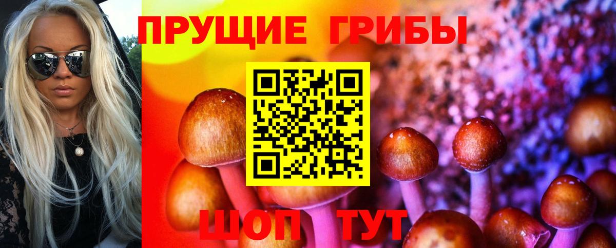 Галлюциногенные грибы мицелий Мурманск